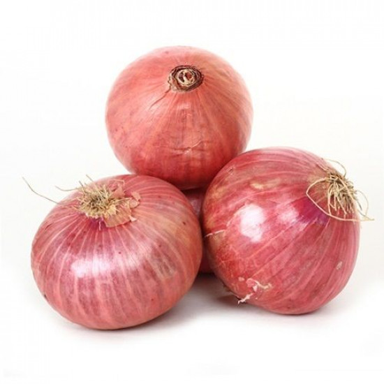 Onion (ఉల్లిపాయలు) 